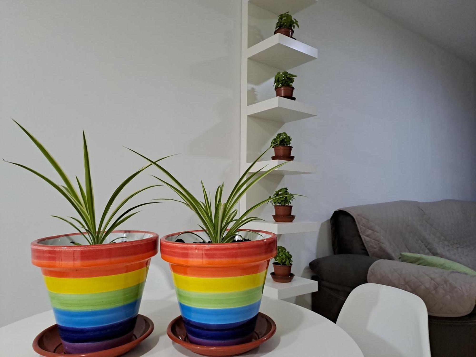 Apartamento Toyo, Parque Natural Cabo De Gata Appartement Almería Buitenkant foto